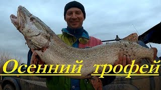 Трофейная щука.Трудовая рыбалка, от  р Кулан до р.Нура в поисках трофея.