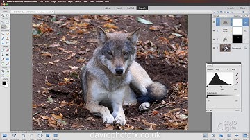 Enhancing an image using Adjustment layers - Photoshop Elements