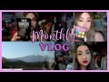  monthly vlog  a bouquine 