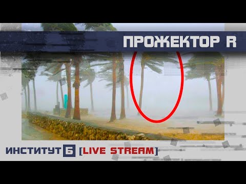 ПрожекторR #113