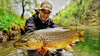 Riesenforellen im glasklaren Bergsee!!!