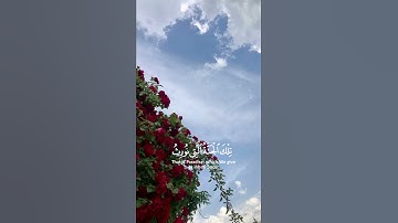 لَّا يَسْمَعُونَ فِيهَا لَغْوًا إِلَّا سَلَامًا ولَهُمْ رِزْقُهُمْ فِيهَا|| تلاوة بصوت نعمة الحسان 🌿