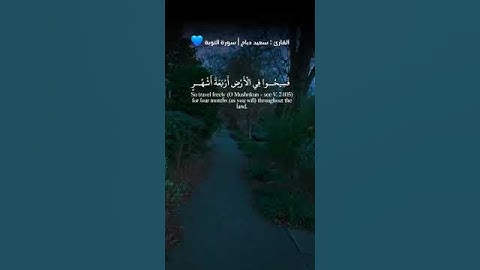 سورة التوبة | ارح سمعک ❤️ | قناة نور القران| #اكسبلور #راحة_نفسية #لايك #تلاوة_خاشعة #حالات_واتس