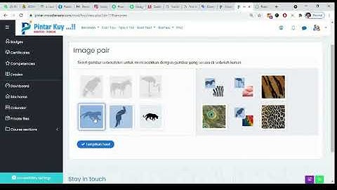 I will design image pairing quiz with h5p for moodle learning