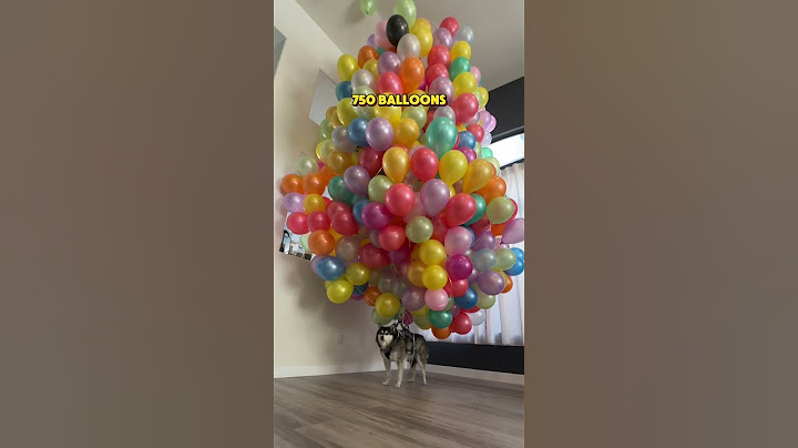 How many helium balloons can make a dog fly? 😆 #challenge #funnyvideo #funnyshorts