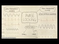 Phaselocking in auditory nerves