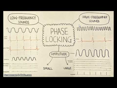 Video: Hvad er tofaselåsning med eksempel?