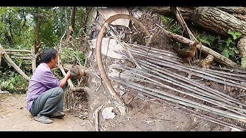 cuab qhaub dib me nyuam qaib qus tuaj mag zoo heev li