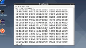 CCIE EI SECTION 3 : Automatization - Enabling CLI Access and Using Guest Shell and Python on r30