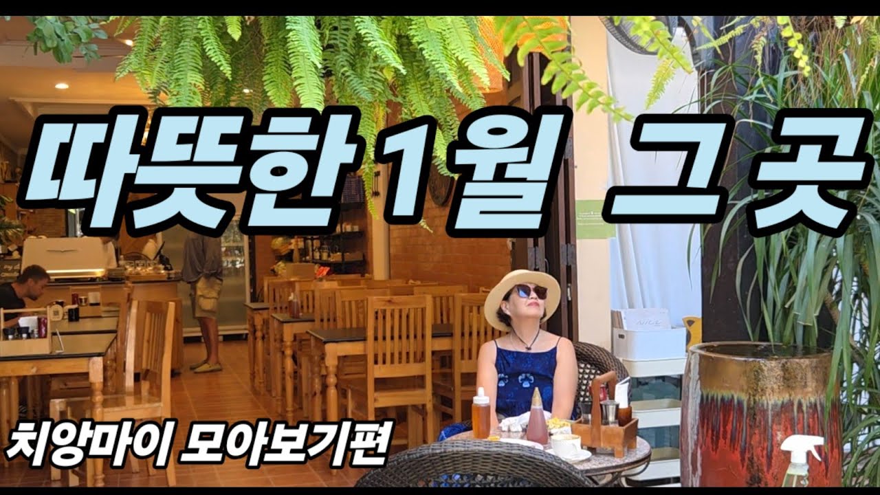 🇹🇭 치앙마이 자유여행일정 / 치앙마이 2인사용 경비/  모든정보