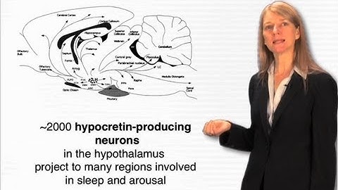 Internally-generated behaviors - Cori Bargmann (Rockefeller/HHMI)