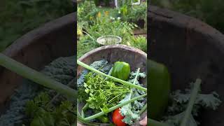 Make Breakfast With Me kitchengarden gardenary garden