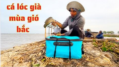 TẬP.146.cắm câu trời gió lạnh tưởng không dính ai ngờ dính toàn hàng khủng không/GLQ