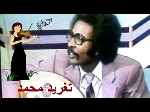 مصطفى سيد احمد مريم الاخرى