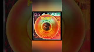 Janelle Monae-Float (Feat. Seun Kuti & Egypt 80) [Slowed]