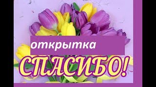 Видео открытка Тебе огромное спасибо (автор: Поздравь друга)
