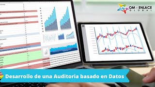 Auditoria basada en el análisis de los datos.