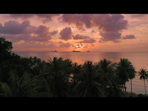 Discover the best of Koh Samui with Avani+ Samui