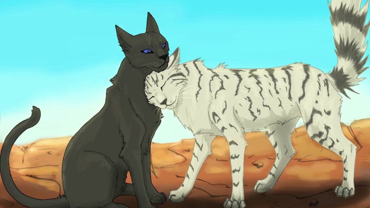 Калина коты воители Калина коты воители