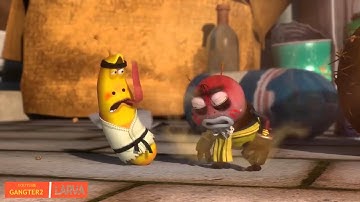 Funny Larva V3 Part 6 0   Cười tẹt ga nào HD