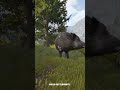 From Hunted to Powerful #bellwright #bellwrightgameplay #medievalsurvival