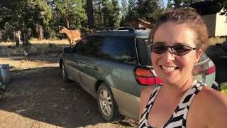 2002 Subaru Outback Wagon Manually Close Front and Rear Sunroofs