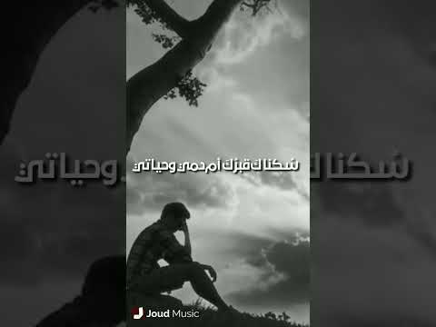 لما قد رحلت علي عساف اكسبلور مرثيات فراق موت