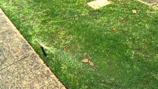 How to adjust the amount of water on a TORO Spray Nozzle
