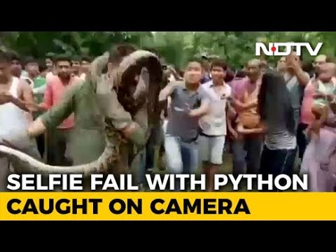 Selfie With Python Goes Wrong: Caught on Camera