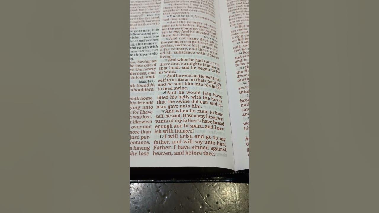 bible-reading-luke-chapter-15-verse-16-21-youtube
