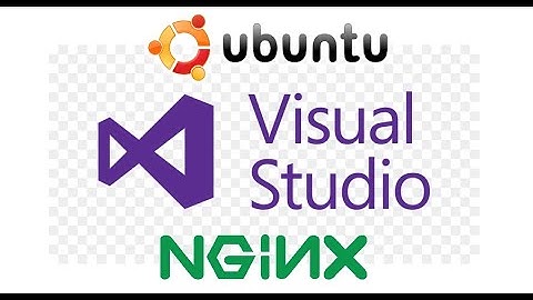 Install Visual Studio Code Cloud IDE on Linux Ubuntu 24.04.01_LTS_Step_by_Step!