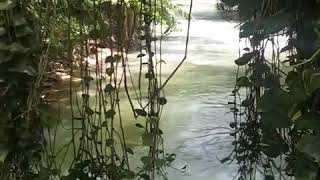 A River in the Cayman Islands