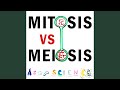 Mitosis vs meiosis rap battle