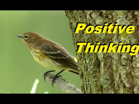 Stop worry and anxiety,Positive Thinking Affirmations For 