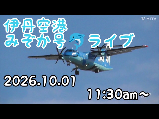 伊都 YouTube