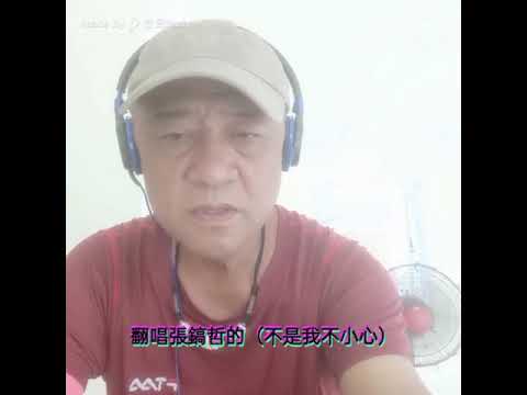 這次分享的是翻唱自張鎬哲的（不是我不小心）