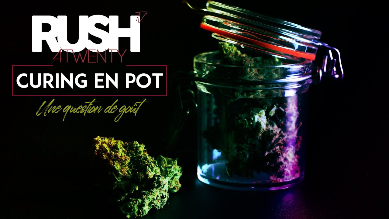 CBD CURING (une question de goût). 🌱🫙