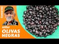 CÓMO ALIÑAR OLIVAS NEGRAS. EL HUERTO FAMILIAR (miquera73)