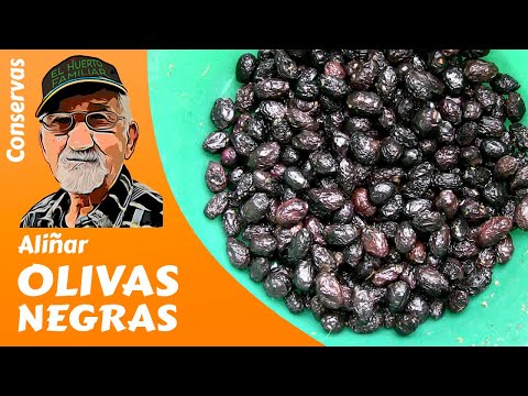 ACEITUNAS 𝗡𝗘𝗚𝗥𝗔𝗦: CÓMO ALIÑAR OLIVAS NEGRAS
