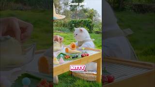 Kitty suka makan es krim #shorts #kucing #kucinglucu