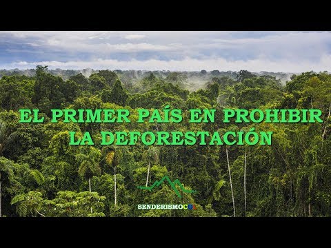 Vídeo: Noruega Se Convirtió En El Primer País En Prohibir La Deforestación - Matador Network