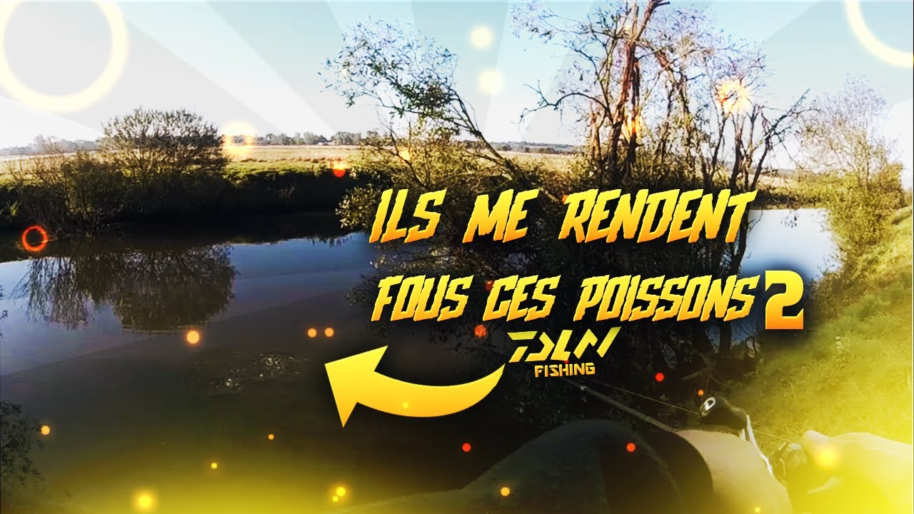 Ils me rendent fous ces poissons ! #2 - YouTube