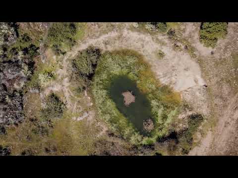 Europe's New Wild | S01 E02 | The Missing Lynx