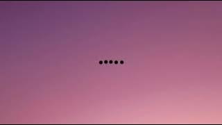 Novo Amor_(Seneca)_Lirik terjemah Indonesia