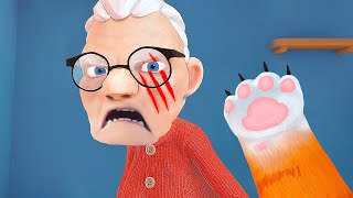 The Virtual Reality Cat Experience...