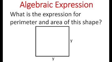 ALGEBRAIC EXPRESSION: Area and Perimeter Of Square