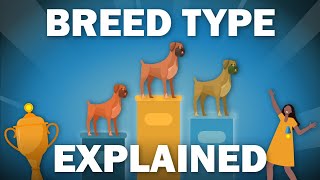 What is Breed Type and How Do Breed Standards Change for Dogs? by Continental Kennel Club, Inc. 561 views 2 years ago 4 minutes, 27 seconds