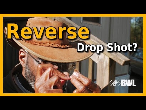 Drop Shot Systems With a Reverse Drop Shot Rig