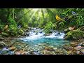 Peaceful Bird Sounds LIVE 🐦 Forest Ambience for Relaxation, Sleep &amp; Calm Mind (No Music)