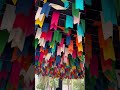 #colors #amusementpark #beautiful #trendingsong #trendingshorts